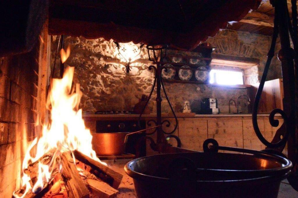 Chalet La Rite Dolomiti Masarie 외부 사진