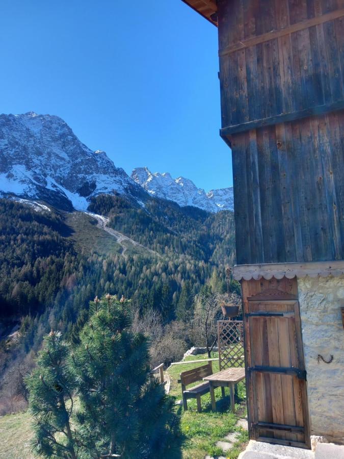 Chalet La Rite Dolomiti Masarie 외부 사진